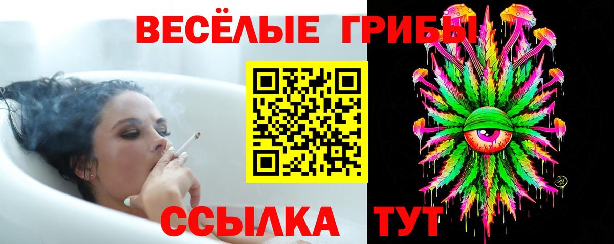 Галлюциногенные грибы Cubensis Печора